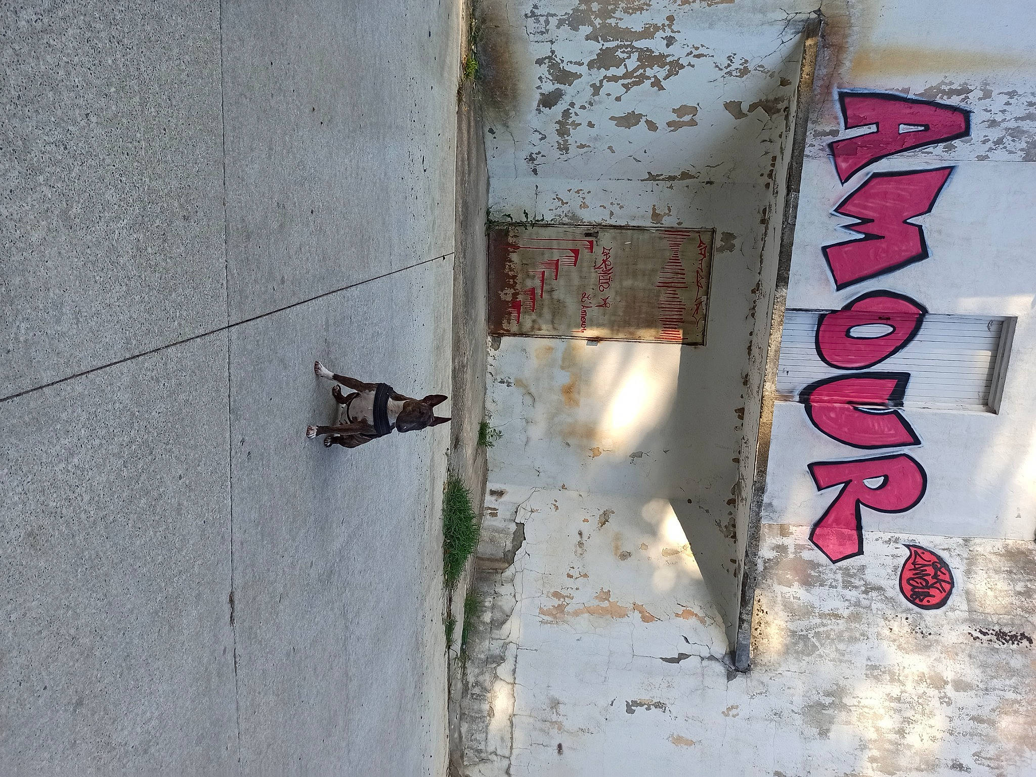 Punky participe au concours pour gagner de l'argent avec cette photo : art, carmine, cement, concrete, door, facade, font, gas, metal, number, road_surface, shadow, signage, visual_arts, window, winter, wood