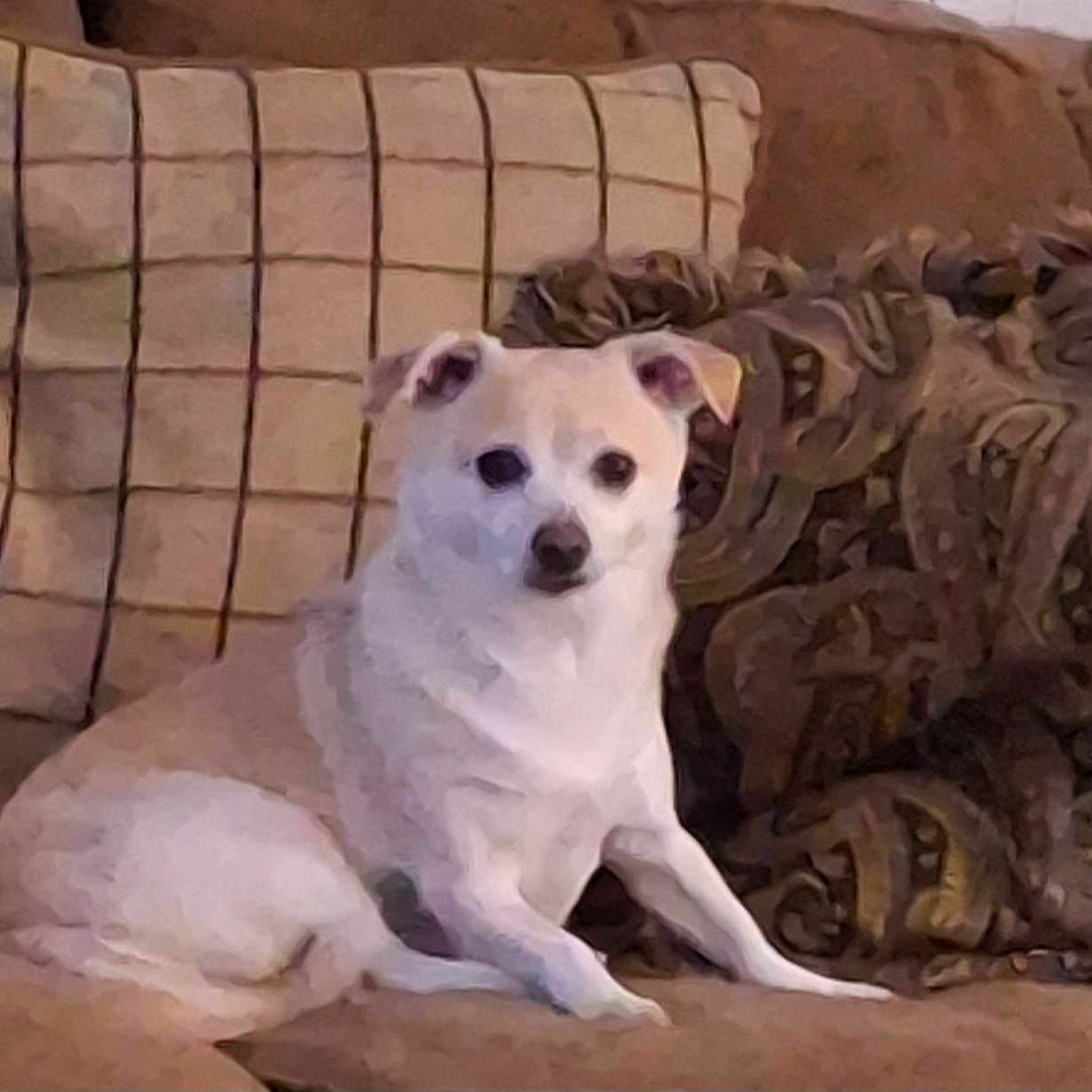Bella