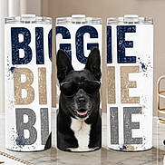 Biggie is registered to the contest to win money with this photo: dog, sunglasses, tumbler, marble_countertop, text, biggie, black_dog, pet, product_display, table, indoor, modern, decor, cool, portrait, accessory, three_tumblers, white_background, glasses, cute