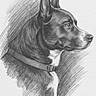 animal_art, artwork, black_and_white, canine, collar, dog, drawing, ears, head, illustration, paper, pencil, pet, portrait, profile, realistic, shading, side_view, sketch, texture