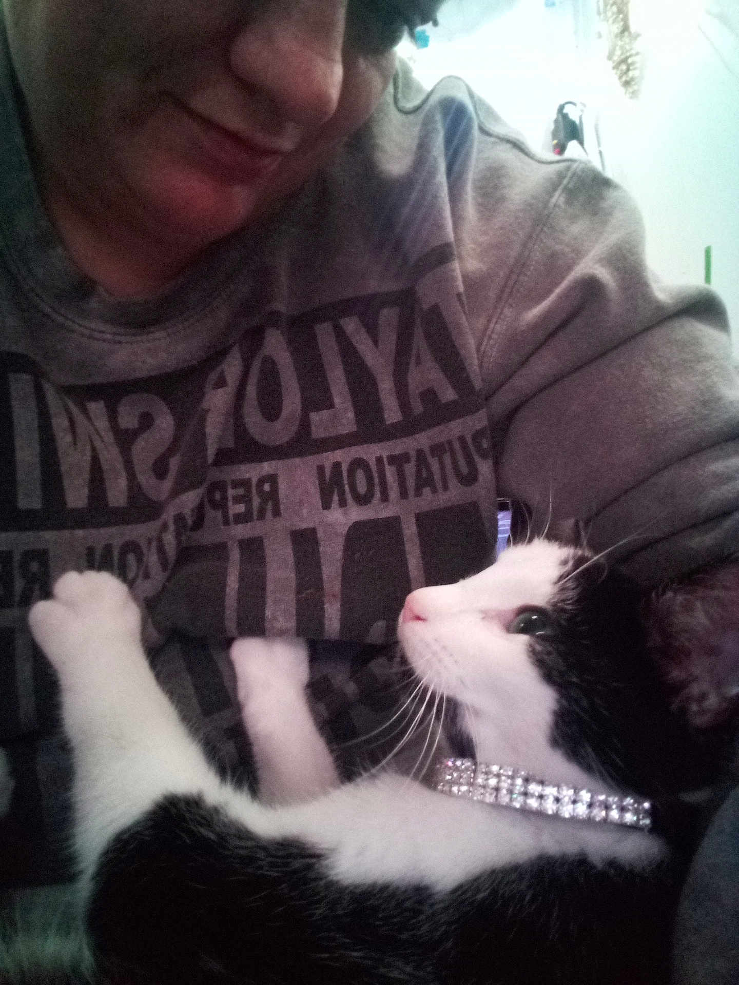 Tux joined the competition — help win amazing prizes! cat, person, sweatshirt, black_and_white, collar, pet, indoor, close_up, affection, cute, feline, whiskers, paws, face, eyes, nose, fur, cozy, bond, love