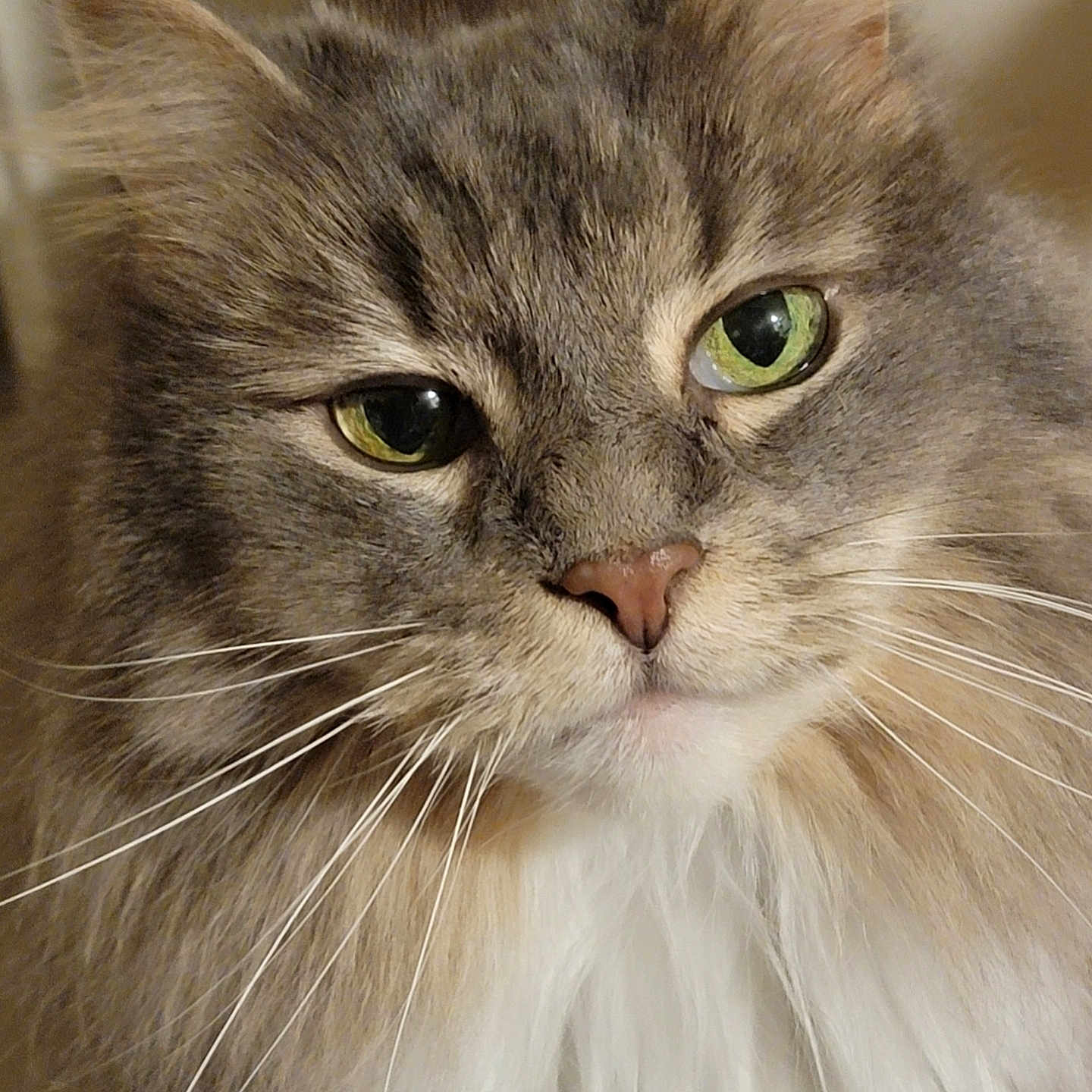 Inara