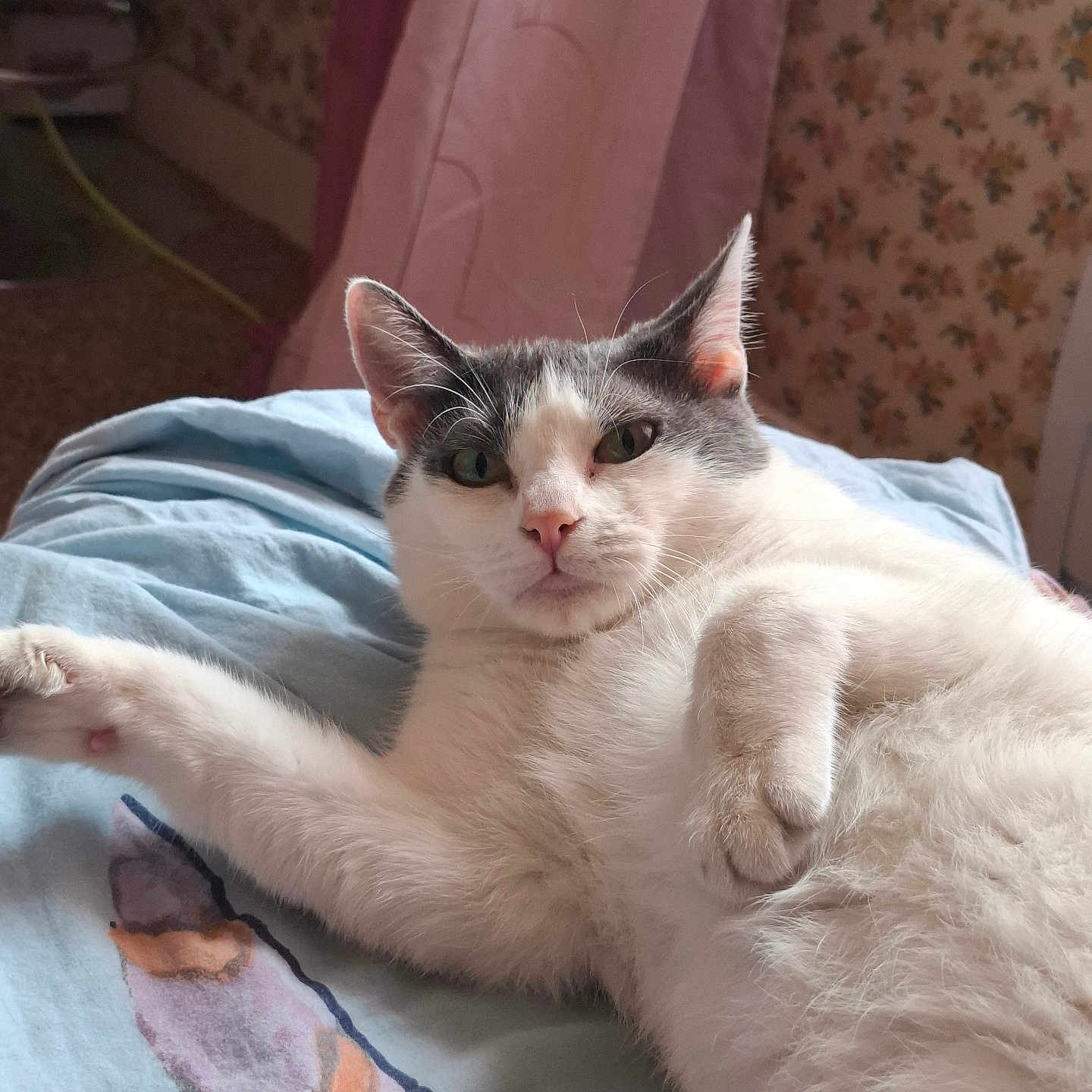 Minette