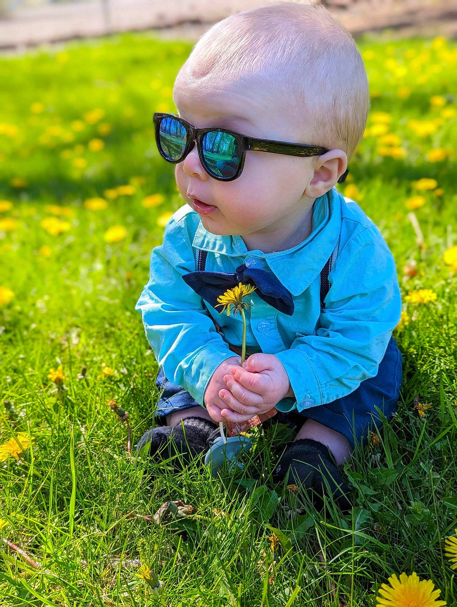 Chase joined the competition — help win amazing prizes! baby, baby_toddler_clothing, botany, electric_blue, flower, goggles, grass, grass_family, grassland, green, groundcover, happy, meadow, people_in_nature, person, plant, prairie, summer, sunglasses, toddler