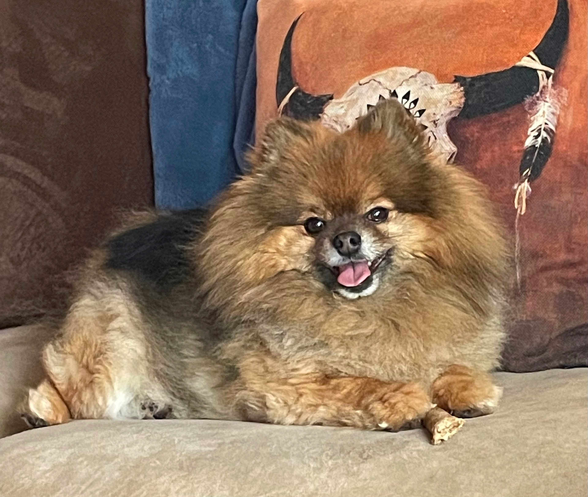 Jaxx