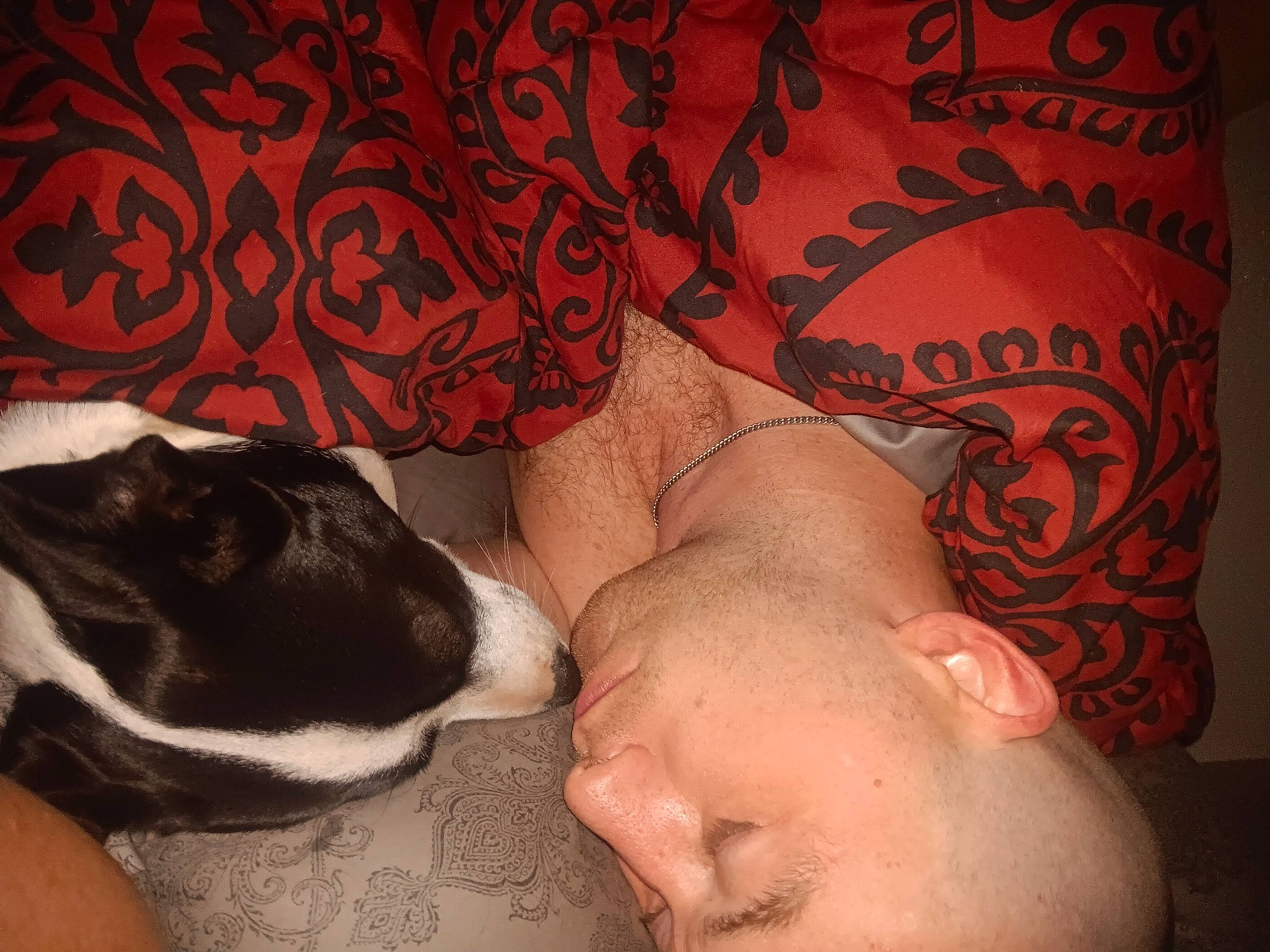 Jazz joined the competition — help win amazing prizes! abdomen, barechested, carnivore, chest, cloud, comfort, companion_dog, dog, dog_breed, ear, eyelash, fawn, felidae, head, human_leg, pattern, paw, tattoo, trunk, whiskers