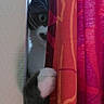 cat, curious, peeking, paw, curtain, red_curtain, window, indoor, playful, mischievous, animal, pet, feline, whiskers, eye, hidden, claw, soft_light, cozy, vertical