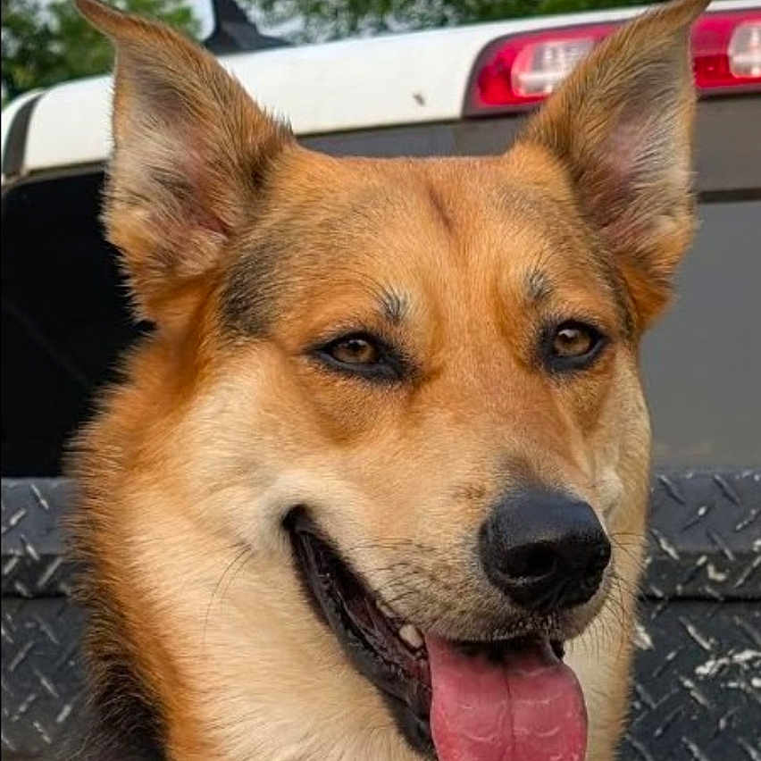 Lucy