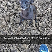 Baby Girl is registered to the contest to win money with this photo: dog, puppy, black_dog, small_dog, sitting, outdoors, dirt, soil, ground, rocks, earth, blue_shoes, sneakers, legs, outdoor_portrait, looking_at_camera, animal, pet, funny, text_overlay