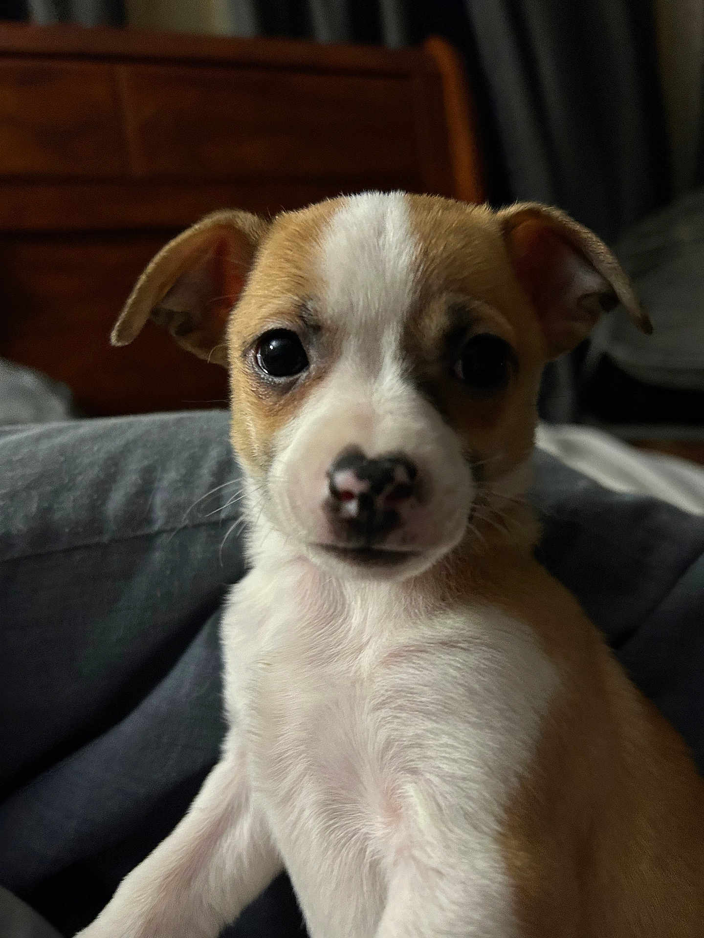 Maggie