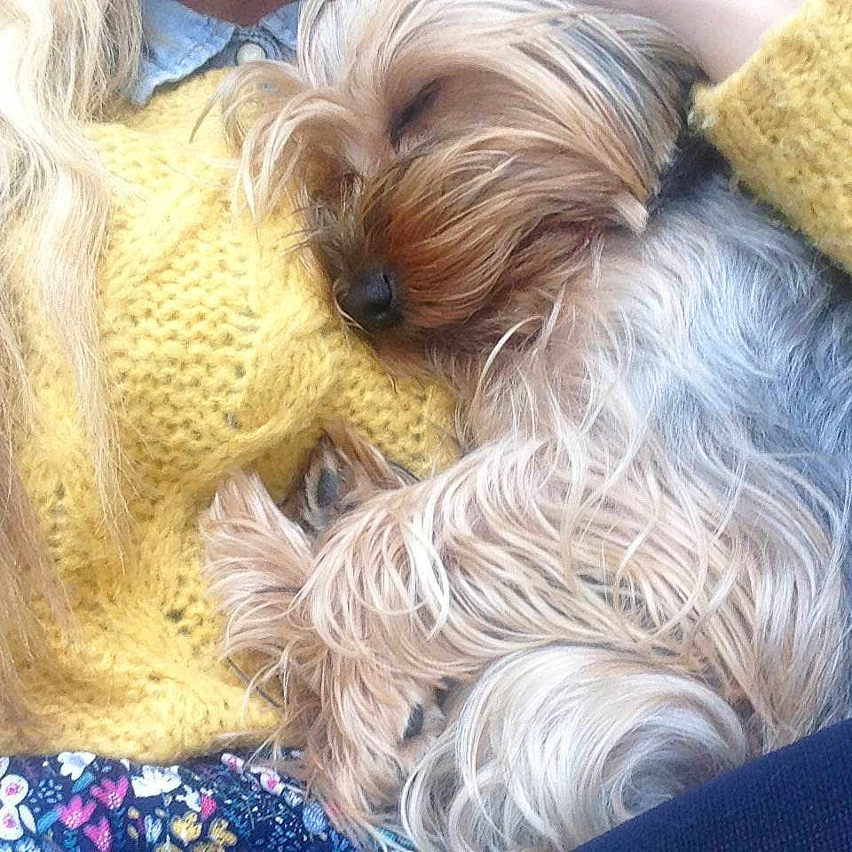 Maisie Moo joined the competition — help win amazing prizes!