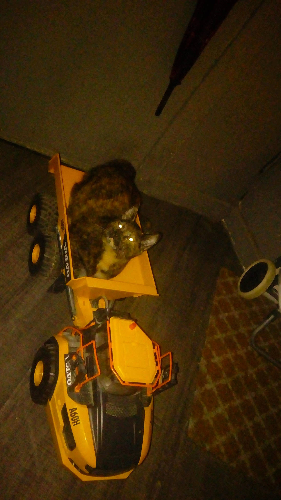 Praline a rejoint le concours — aidez-le/la à gagner de superbes lots ! asphalt, automotive_design, automotive_lighting, automotive_tire, flooring, fun, guitar, machine, music, musical_instrument, musical_instrument_accessory, musician, personal_protective_equipment, plucked_string_instruments, road_surface, space, string_instrument, string_instrument_accessory, wood