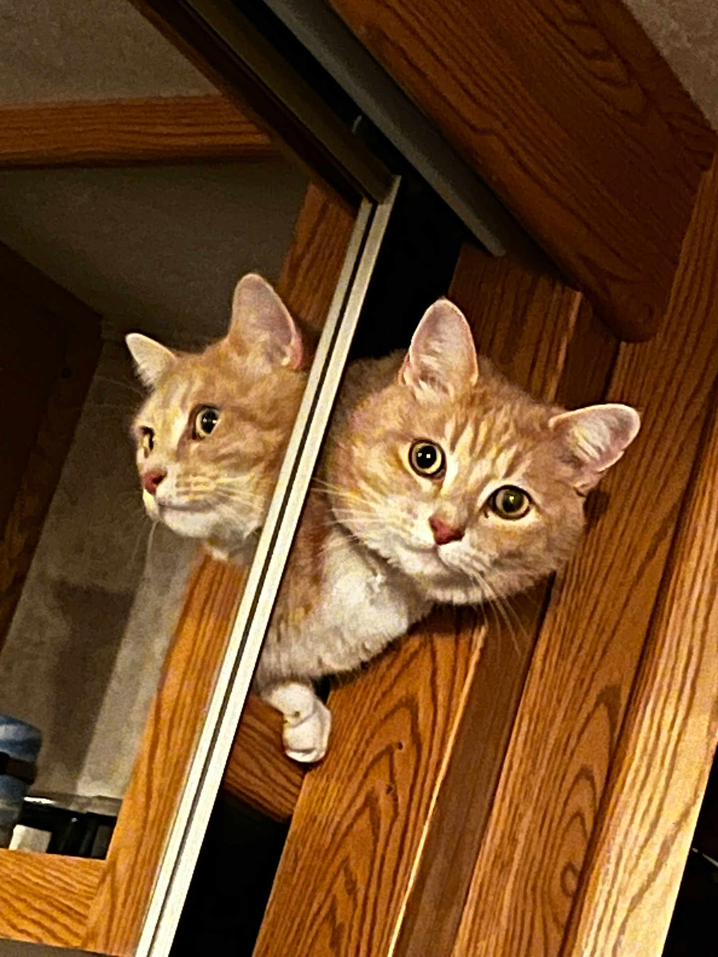 Snickers