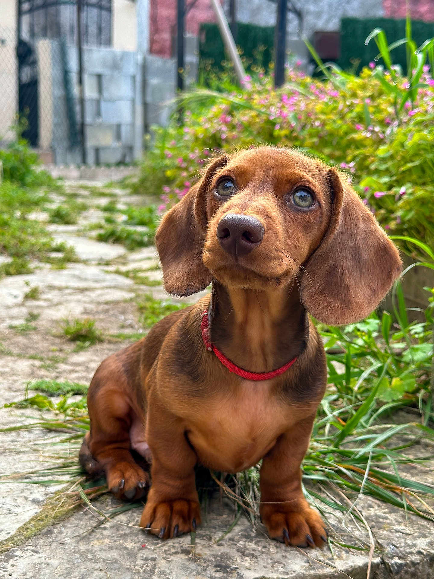 Twix