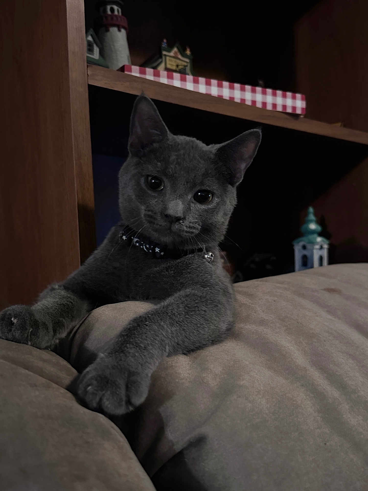 Smokie