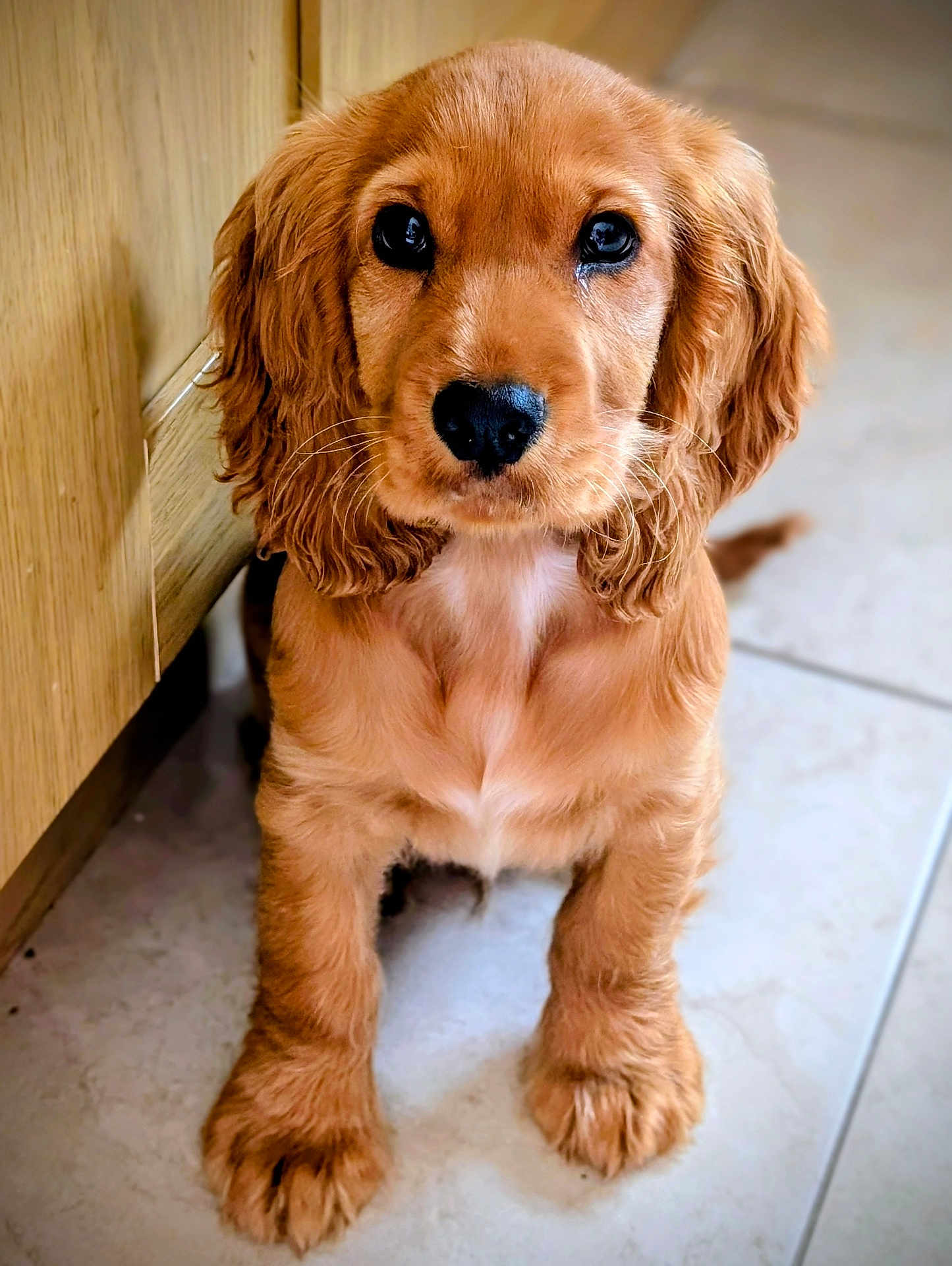 Rusty