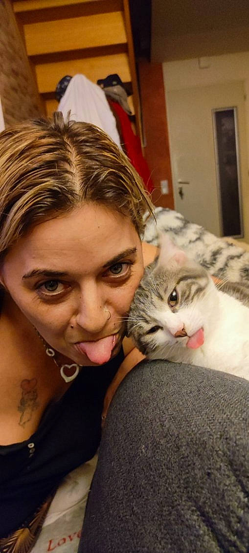 Ted a rejoint le concours — aidez-le/la à gagner de superbes lots ! carnivore, cat, comfort, cosmetics, ear, eye, eyebrow, eyelash, fawn, felidae, happy, iris, long_hair, makeover, mouth, nose, shoulder, small_to_medium_sized_cats, smile, whiskers