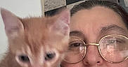 Prince participe au concours pour gagner de l'argent avec cette photo : animal, artwork, blurred, cat, cute, expression, eyewear, face, furniture, glasses, head, indoor, kitten, orange_tabby, person, pet, portrait, selfie, wall, woman