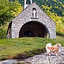 dog, stone_chapel, mountain, forest, grass, rock, nature, outdoor, statue, bell_tower, hill, tree, greenery, landscape, animal, pet, fluffy_dog, path, scenic, daytime