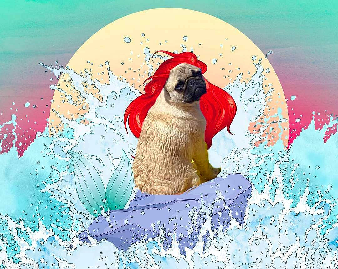 Bernie participe au concours pour gagner de l'argent avec cette photo : art, beak, bear, canidae, carnivore, fawn, fictional_character, graphics, happy, illustration, organism, paint, painting, people_in_nature, plant, snout, terrestrial_animal, tree, visual_arts, wildlife