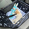 Bandit a rejoint le concours — aidez-le/la à gagner de superbes lots ! puppy, dog, stuffed_toy, blue_bunny, car_seat, pet_carrier, blanket, leash, seat_belt, animal, cute, sleeping, small_dog, indoor, car_interior, fabric, pattern, toy, resting, pet