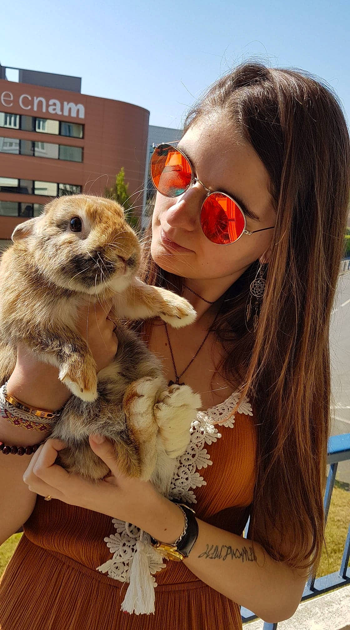 Cookie participe au concours pour gagner de l'argent avec cette photo : canidae, carnivore, fawn