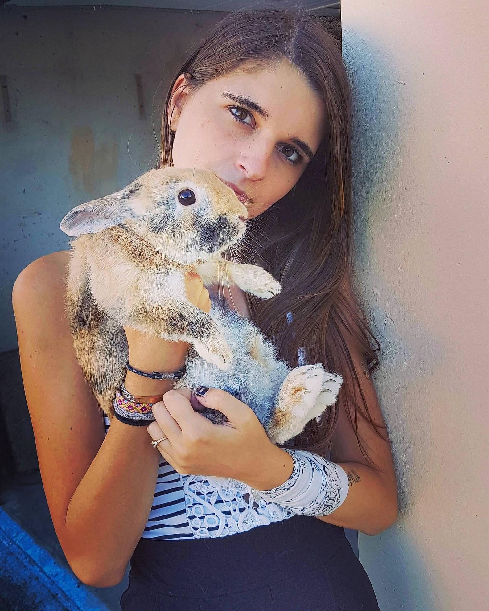 Cookie participe au concours pour gagner de l'argent avec cette photo : abdomen, beauty, blond, fawn, fur, iris, joint, lip, photo_shoot, puppy_love, skin, stuffed_toy, tattoo, teddy_bear, toy