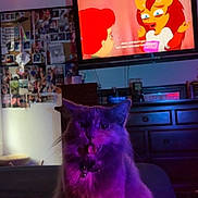 Sage is registered to the contest to win money with this photo: cat, purple_light, indoor, television, cartoon, furniture, photographs, wall, collage, cabinet, mouth_open, pet, domestic_animal, living_room, dim_light, decor, screen, animal, feline, home