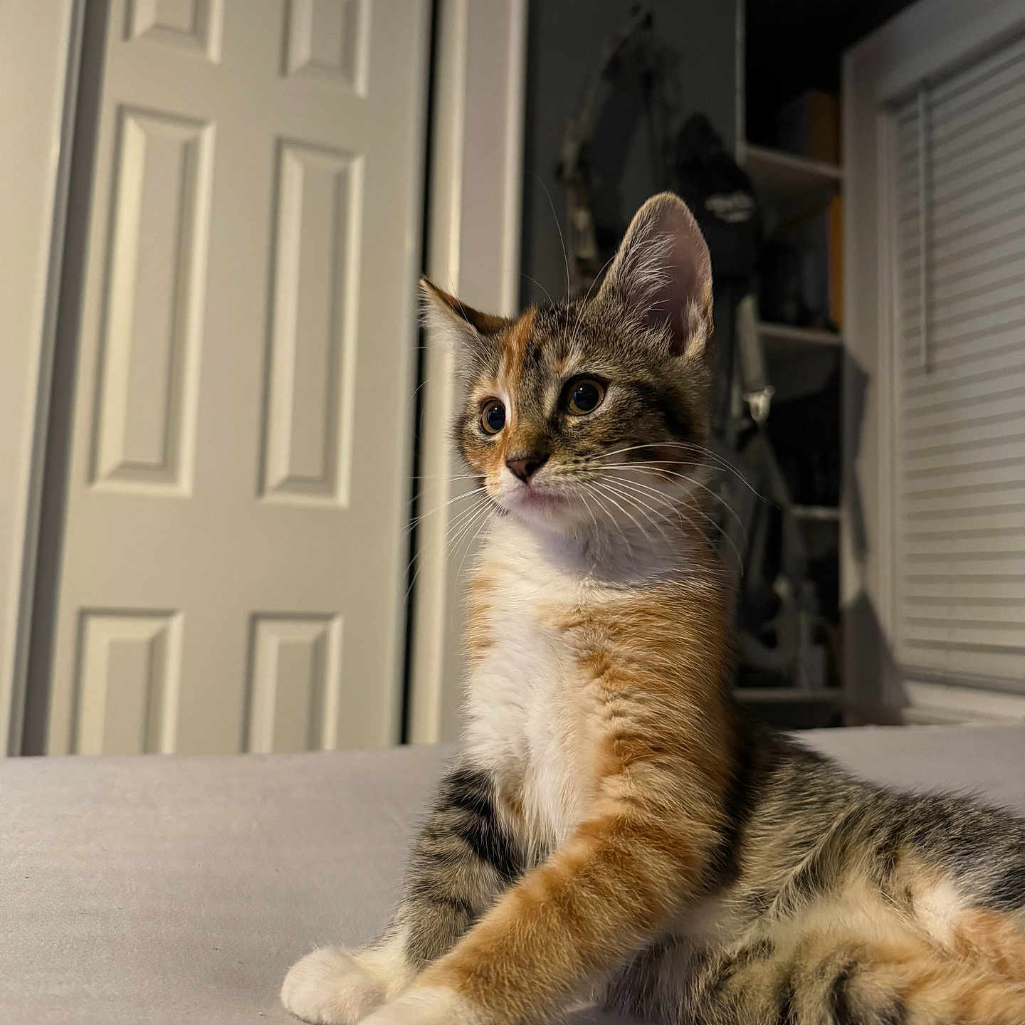 Nala