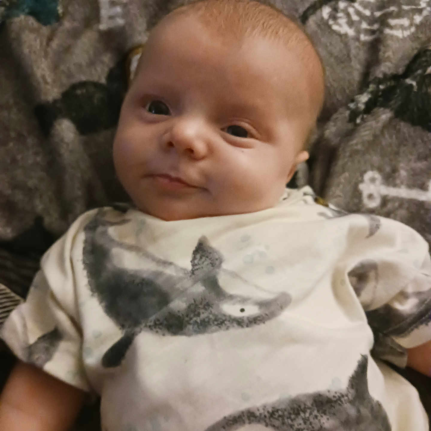Malakai joined the competition — help win amazing prizes! baby, bodypart, clothing, cushion, dress, face, finger, furniture, hand, happy, head, homedecor, newborn, person, photography, portrait, shirt, smile, t_shirt, toy