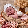 baby, newborn, sleeping, hat, pom_pom, blanket, fur, basket, flowers, pink, beige, wood, decor, cozy, rest, portrait, cute, soft, infant, peaceful