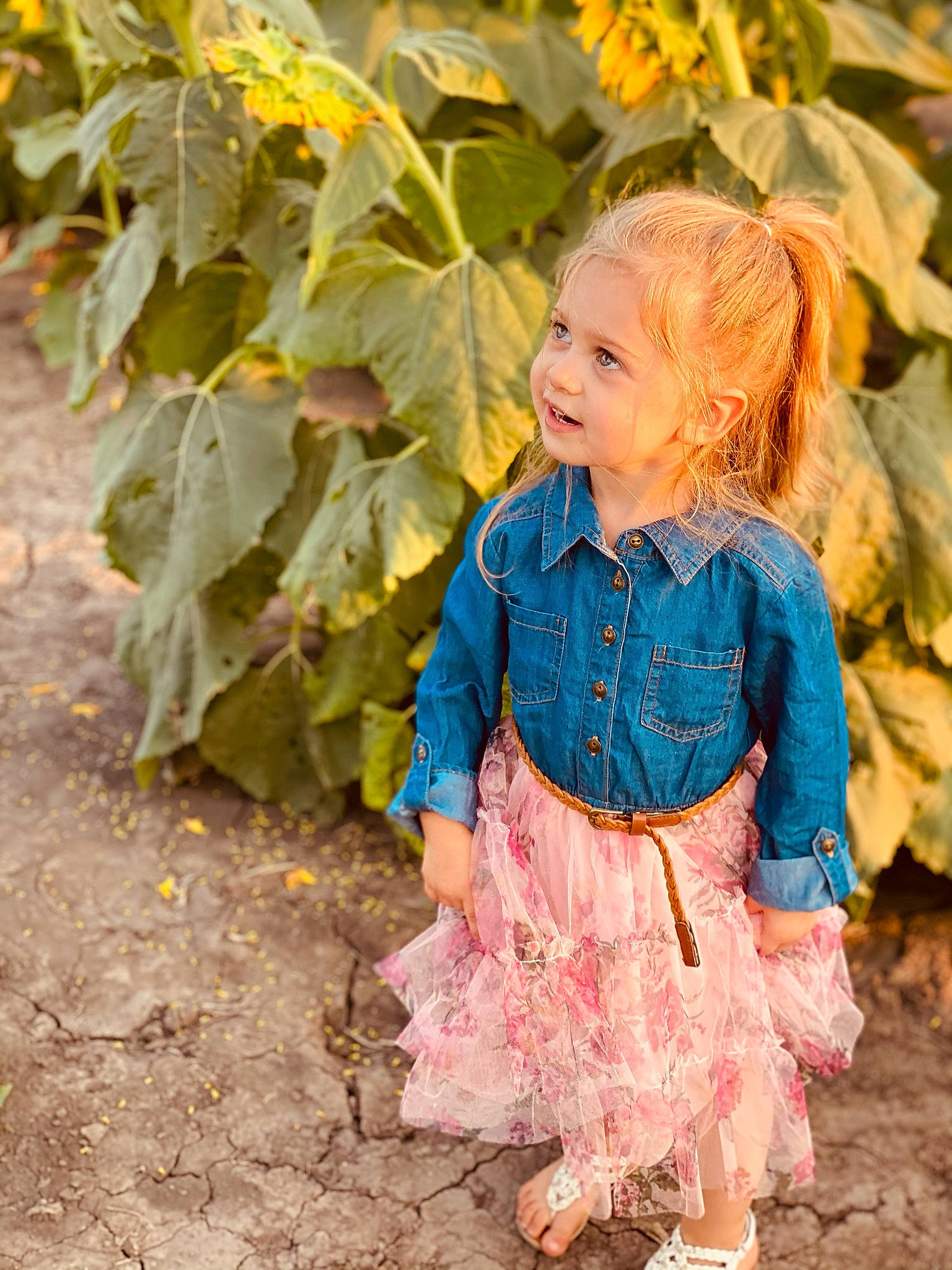 Elizabeth joined the competition — help win amazing prizes! baby_toddler_clothing, child, dress, eye, fun, grass, happy, human_body, iris, leaf, leisure, outerwear, people_in_nature, person, plant, sitting, smile, toddler, tree, wood