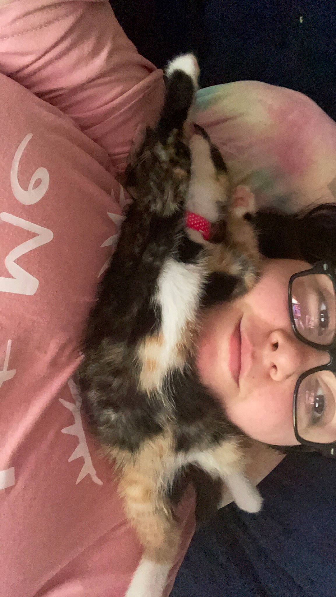 Bex joined the competition — help win amazing prizes! canidae, carnivore, comfort, companion_dog, dog_breed, ear, eyewear, felidae, fur, gesture, glasses, lap, paw, small_to_medium_sized_cats, smile, snout, sporting_group, tail, vertebrate, whiskers