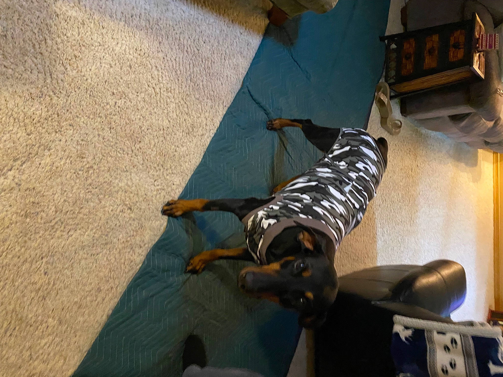 Azula is registered to the contest to win money with this photo: adventure, chair, fictional_character, flooring, fun, helmet, human_leg, pc_game, personal_protective_equipment, recreation, road_surface, room, shadow, tints_and_shades, tire, tree, wing