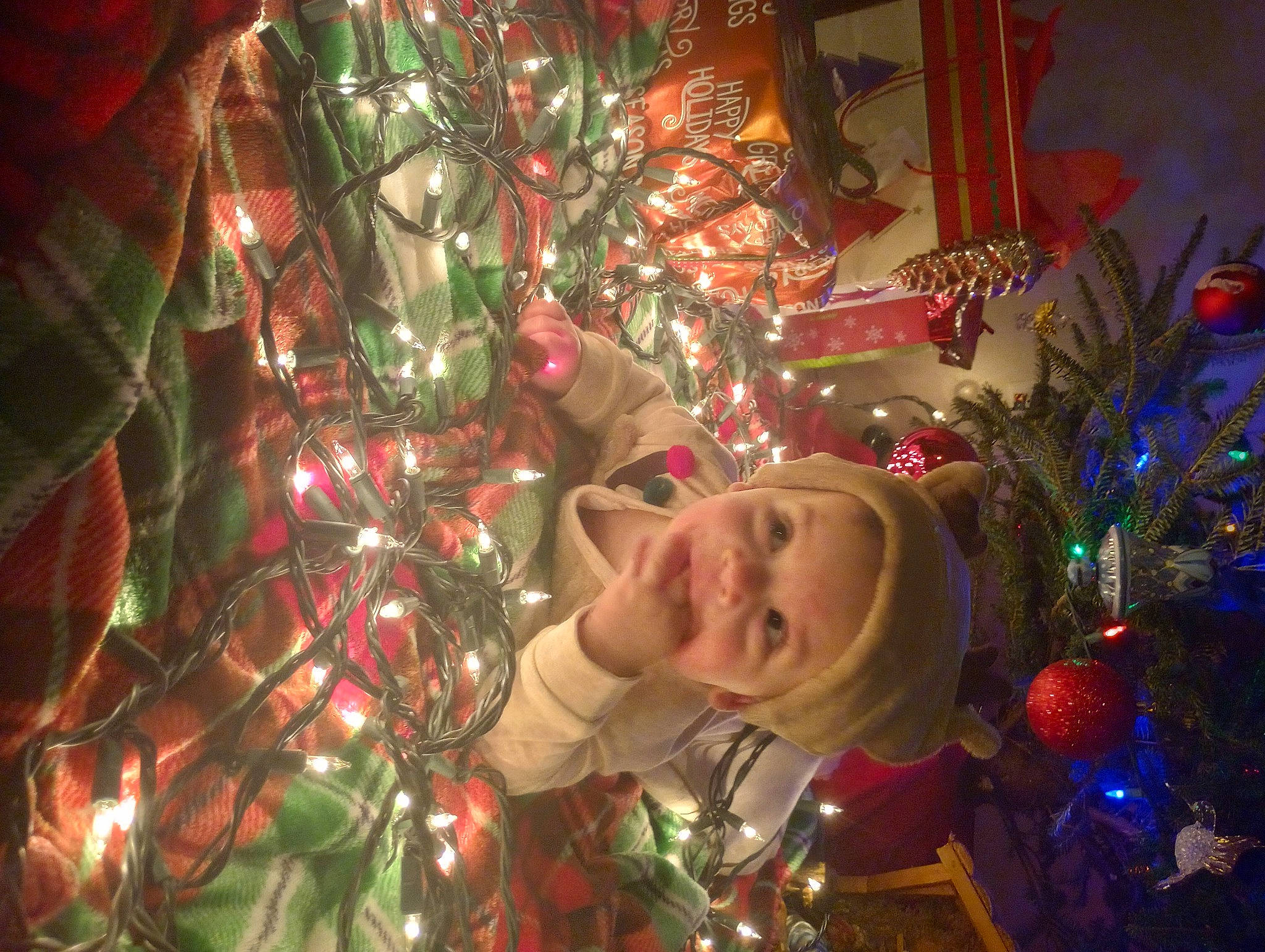 Ethan is registered to the contest to win money with this photo: christmas, christmas_decoration, christmas_eve, christmas_lights, christmas_ornament, christmas_tree, conifer, darkness, event, fun, happy, holiday, holiday_ornament, interior_design, light, ornament, person, plant, smile, tradition