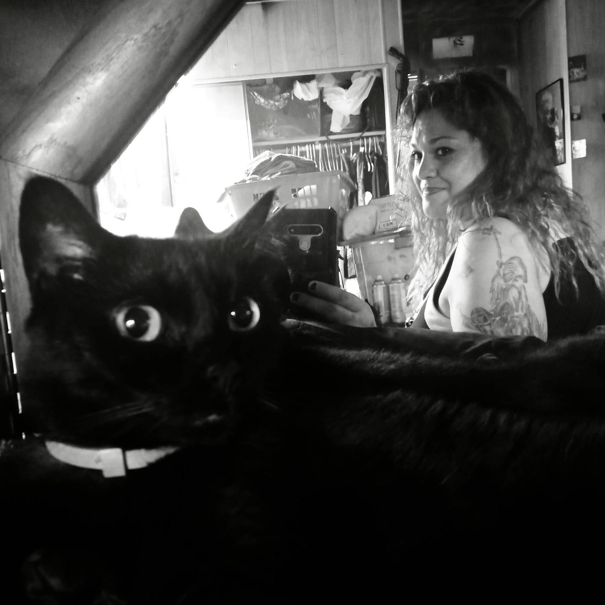 Doings is registered to the contest to win money with this photo: black_cat, bombay, carnivore, cat, darkness, domestic_short_haired_cat, event, felidae, flash_photography, fur, metal, monochrome, monochrome_photography, night, room, sky, small_to_medium_sized_cats, snout, whiskers