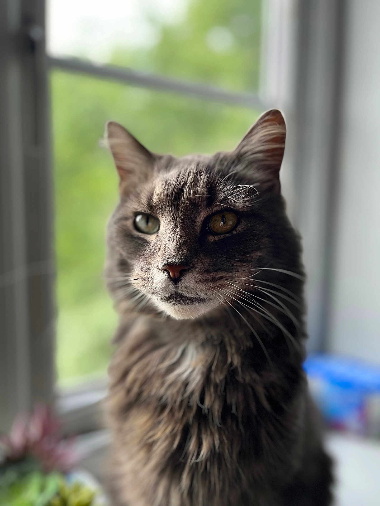 Theodore