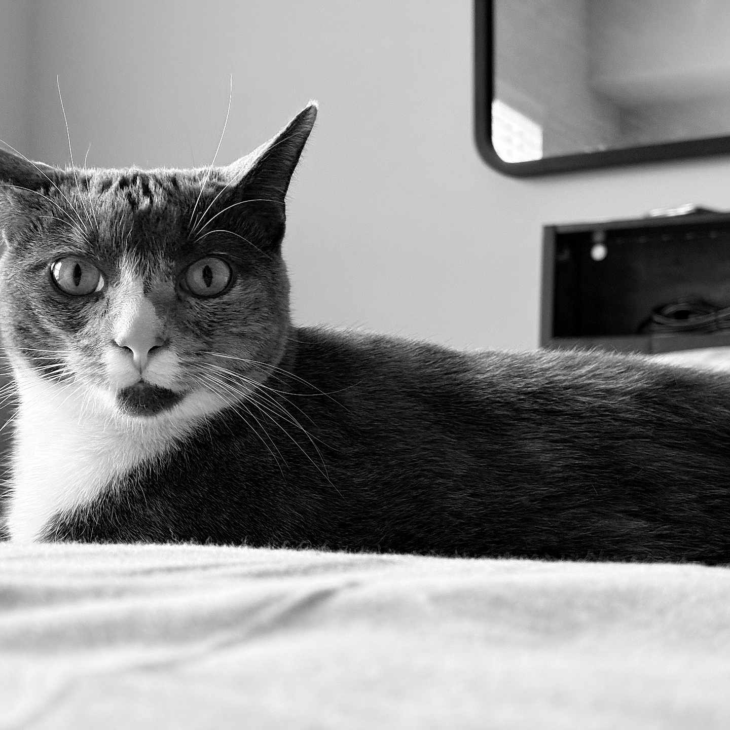 Skye