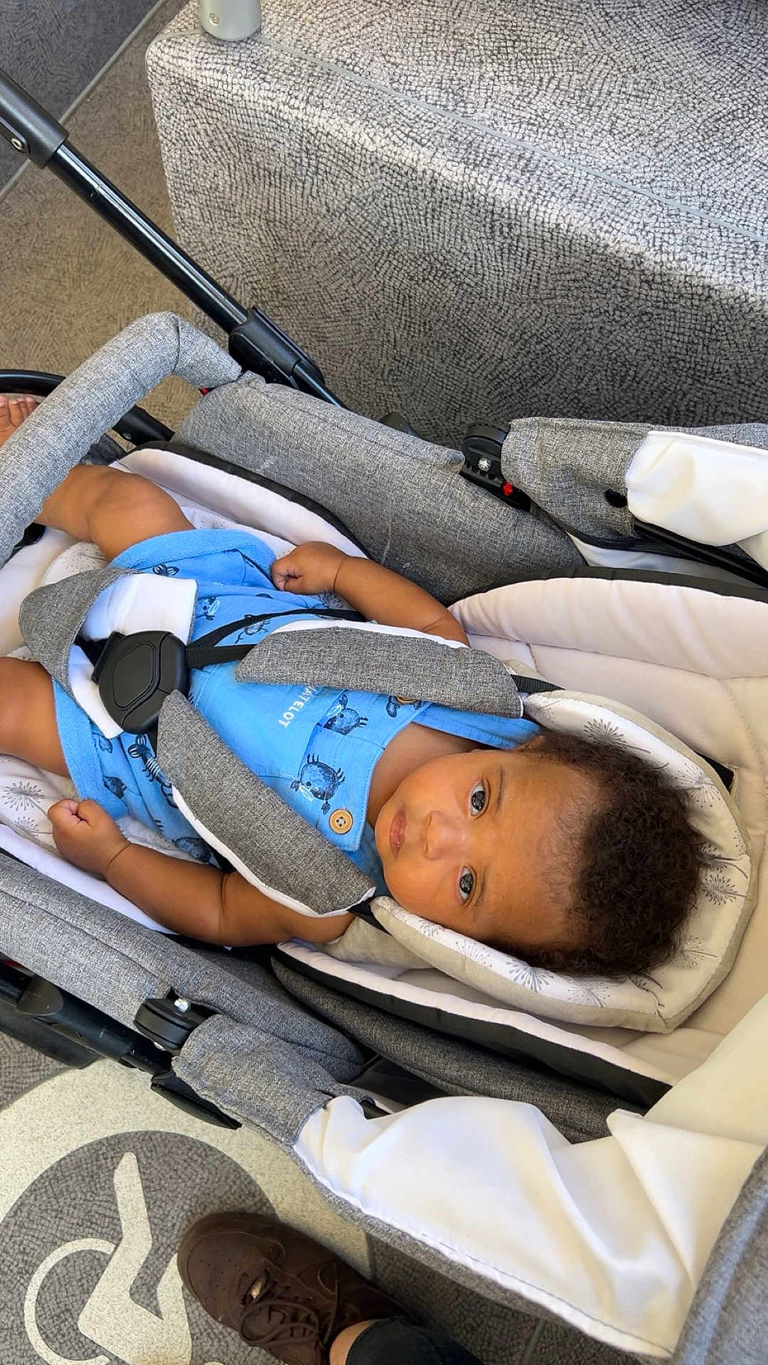 Lydriss a rejoint le concours — aidez-le/la à gagner de superbes lots ! baby, child, stroller, blue_onesie, animal_print, gray, white, seatbelt, curly_hair, indoor, footwear, shoe, carrying_device, infant, person, looking_up, casual, texture, fabric, safety_harness