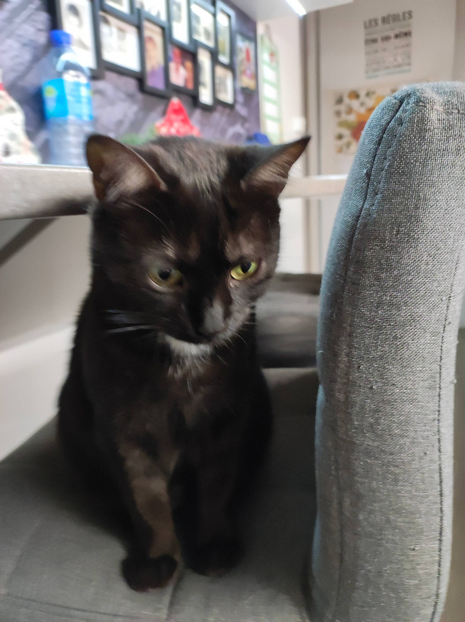 Mia
