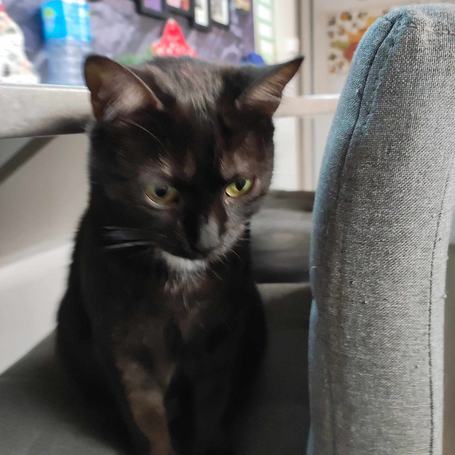 Mia