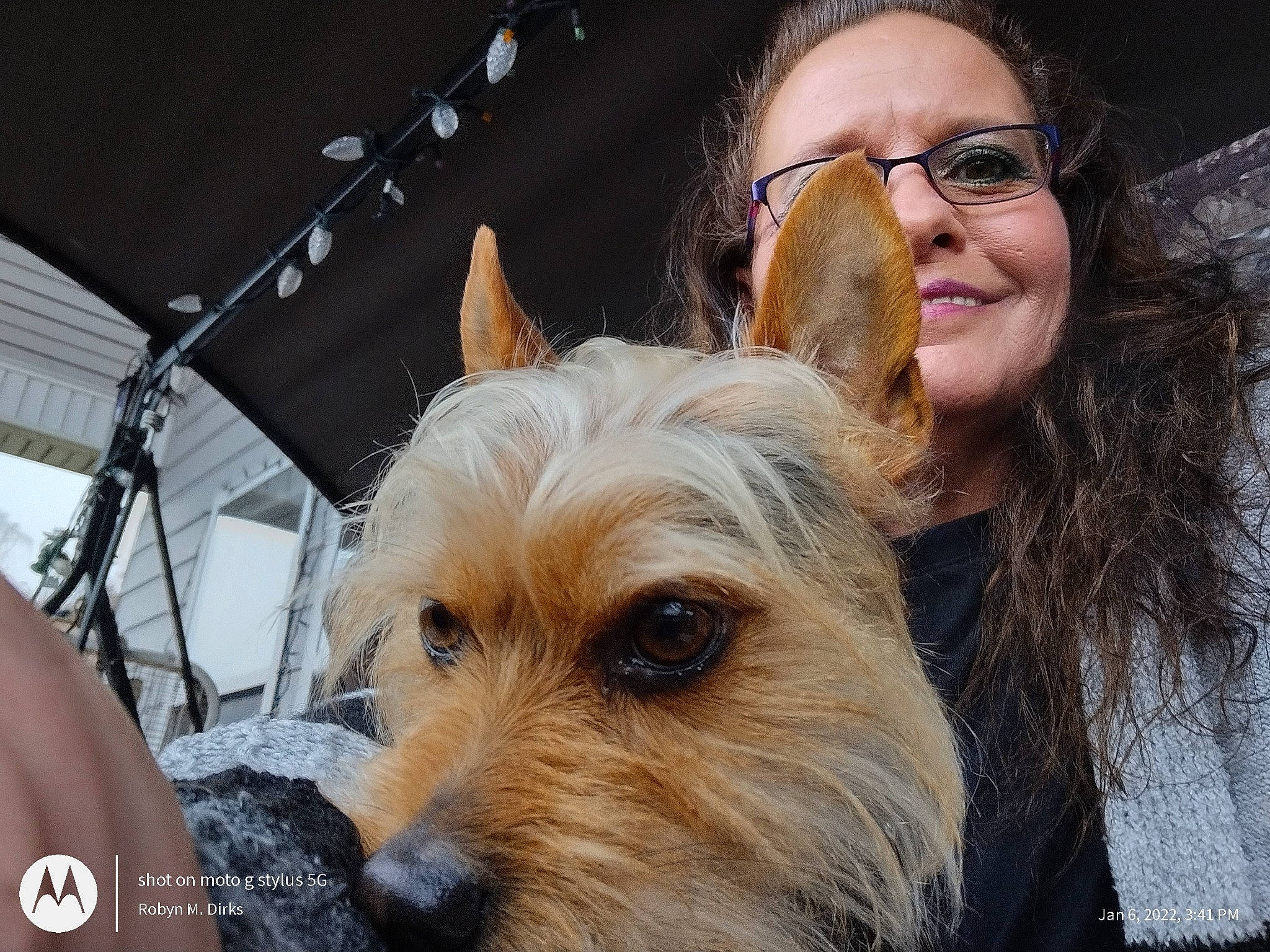 Axxell Rose joined the competition — help win amazing prizes! carnivore, companion_dog, dog, dog_breed, ear, event, eyewear, fawn, fun, fur, glasses, happy, small_terrier, smile, snout, terrier, toy_dog, vision_care, working_animal, yorkshire_terrier