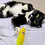 cat, tuxedo_cat, toy, corn_toy, white_sheet, carpet, indoor, pet, playful, paw, yellow_eyes, whiskers, lying_down, curious, black_and_white, feline, cute, animal, domestic_cat, closeup