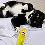 cat, black_and_white, toy, corn, playful, paw, whiskers, carpet, sheet, domestic_cat, pet, indoor, cute, animal, feline, lying_down, curious, closeup, yellow, white