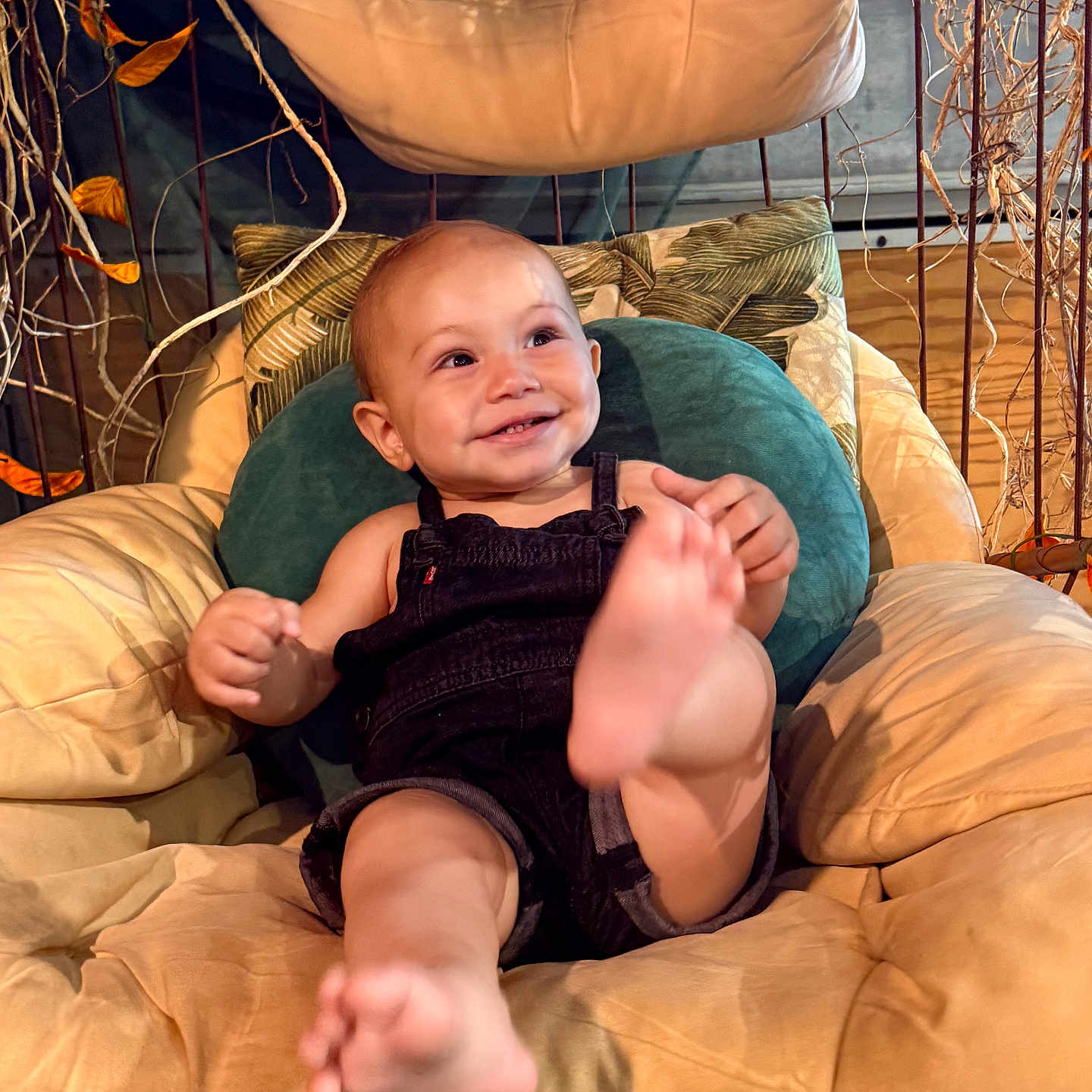 Zephyr joined the competition — help win amazing prizes! baby, child, smiling, cushion, chair, overalls, foot, plush, indoor, decor, green_cushion, leaf, branch, happy, person, portrait, seat, cute, infant, relaxed