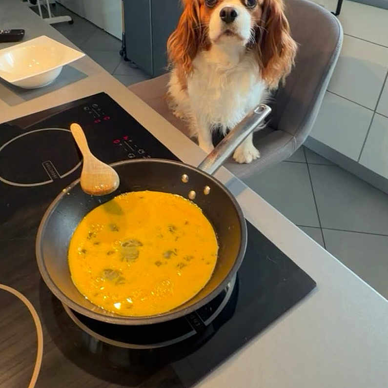 Ratatouille