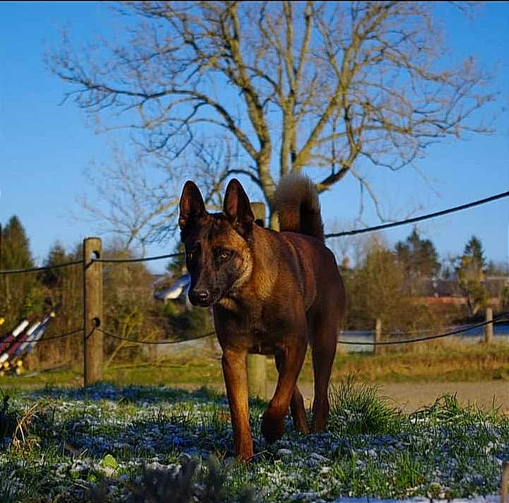 Irina Du Mont Lerroux
