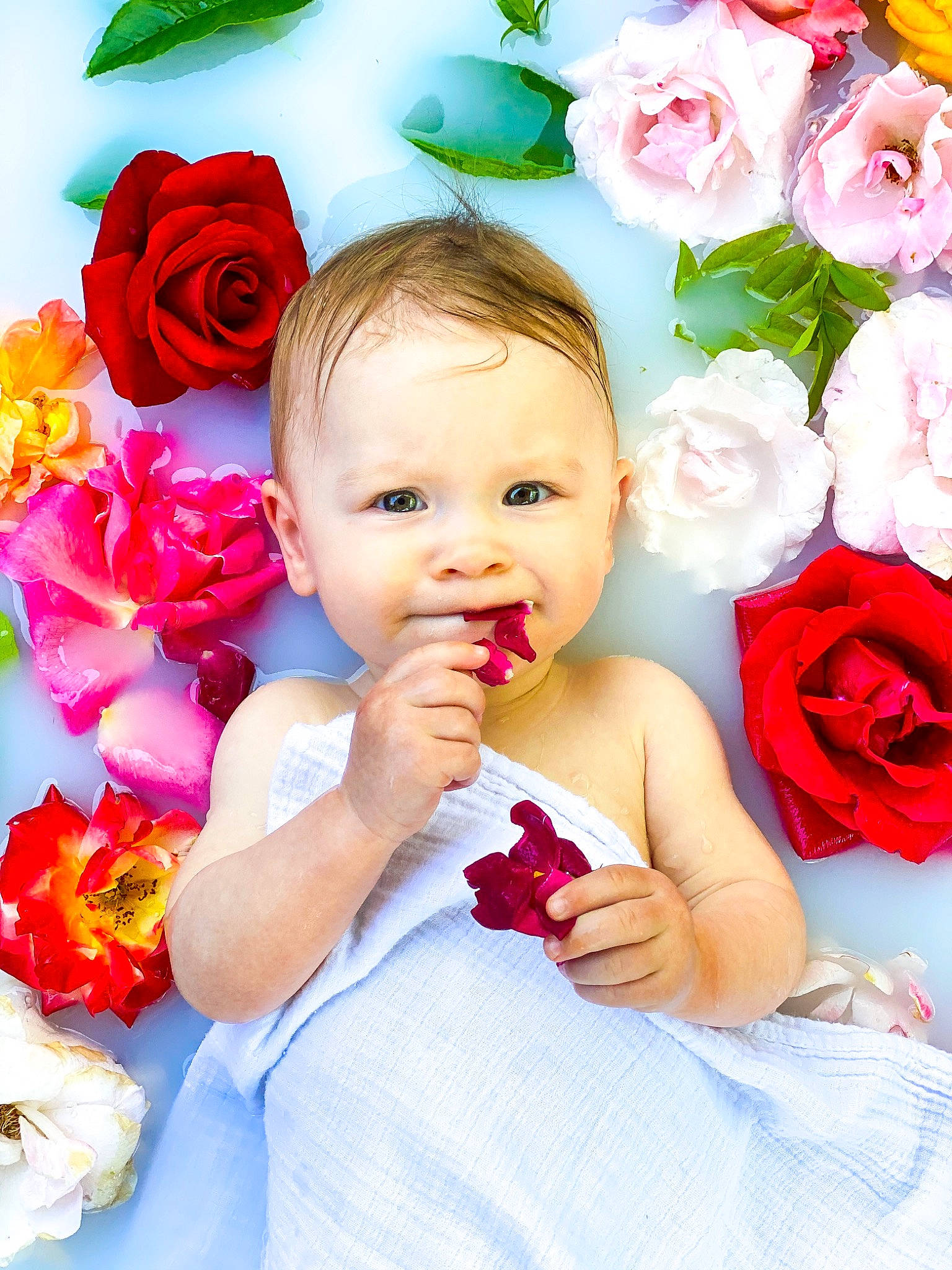 Kira is registered to the contest to win money with this photo: baby, cheek, child, cut_flowers, flower, garden_roses, happy, person, petal, photography, pink, plant, red, rose, rose_family, rose_order, smile, toddler