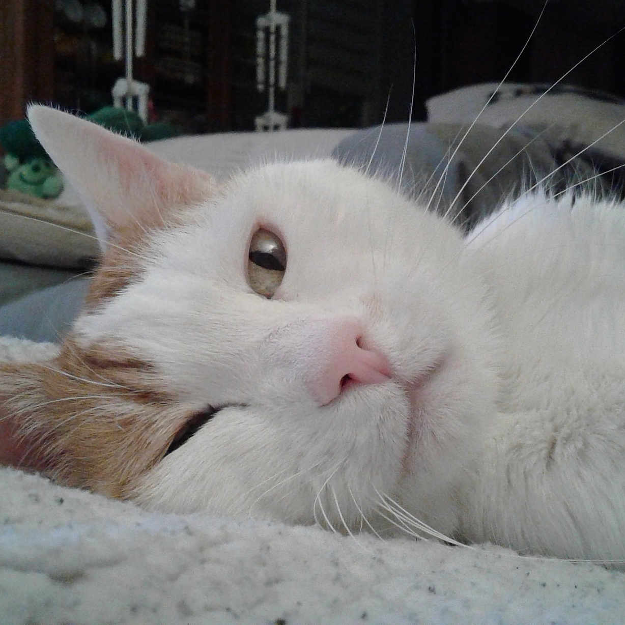 Caramel