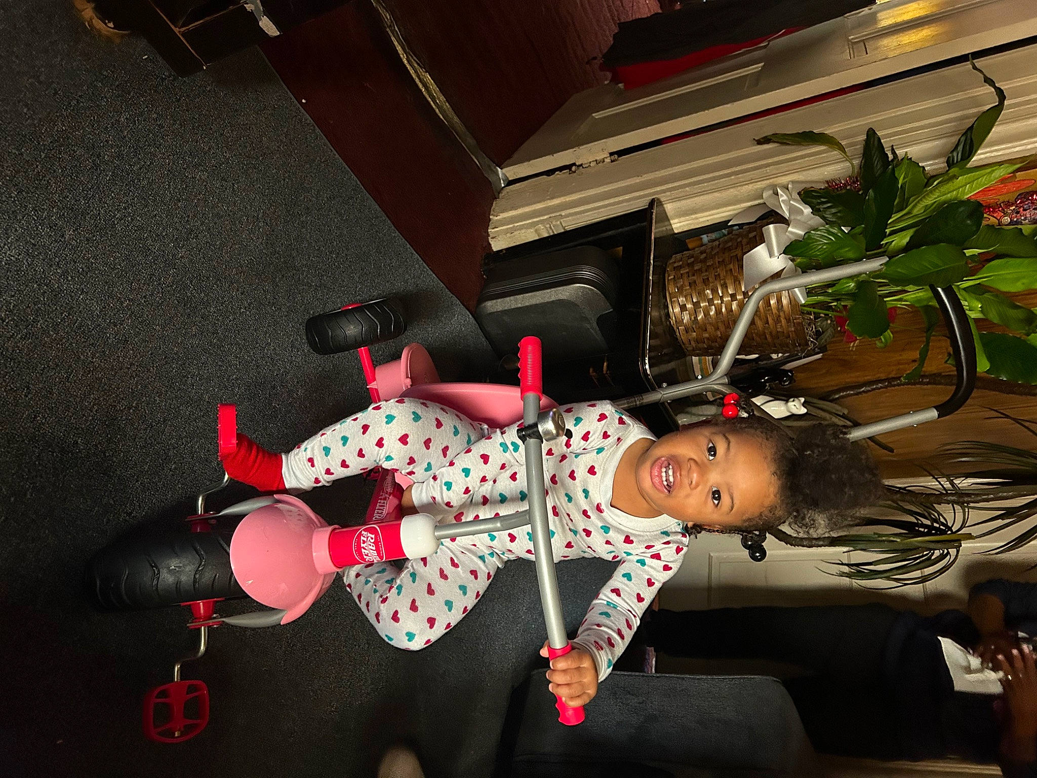 Armani is registered to the contest to win money with this photo: carmine, costume, entertainment, event, fashion_design, flooring, fun, houseplant, pattern, person, plant, room, smile, thigh, toddler, tree